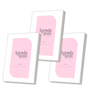 Kit 3 Unid. Miolo Agendamento Rosa 1DPP